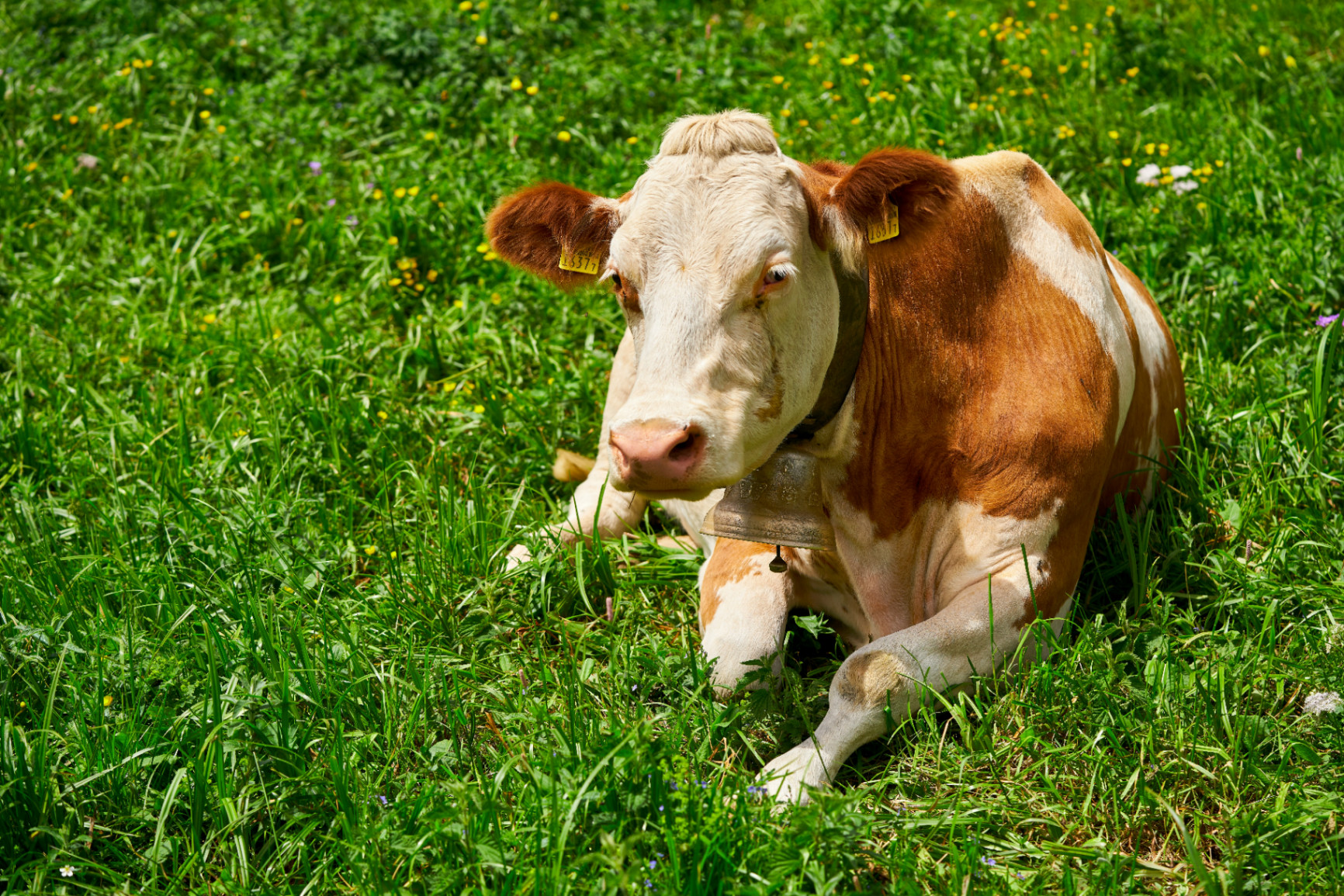 Rural Drehort in der Schweiz, Ansicht 5