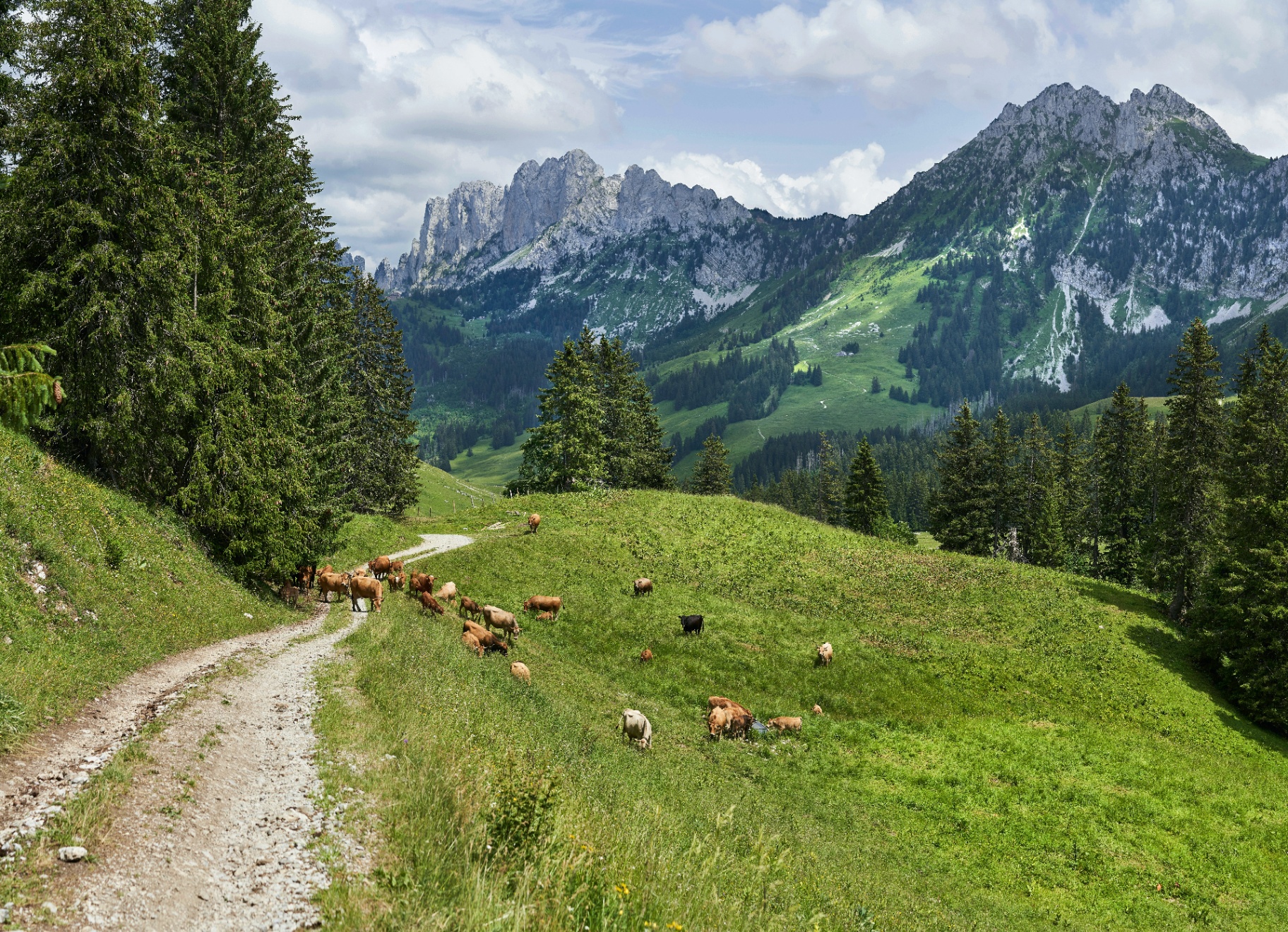 Alpine filming location in Switzerland, view 1